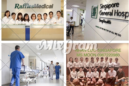 ✅ TUYỂN SỐ LƯỢNG LỚN Y TÁ - ĐIỀU DƯỠNG SANG LÀM VIỆC TẠI SINGAPORE🪴